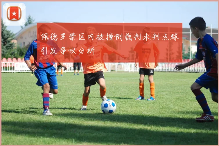 佩德罗禁区内被撞倒裁判未判点球引发争议分析