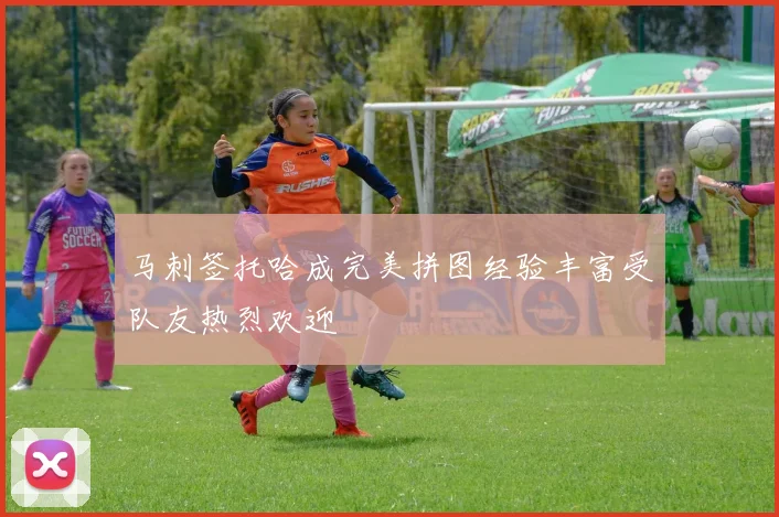 马刺签托哈成完美拼图经验丰富受队友热烈欢迎