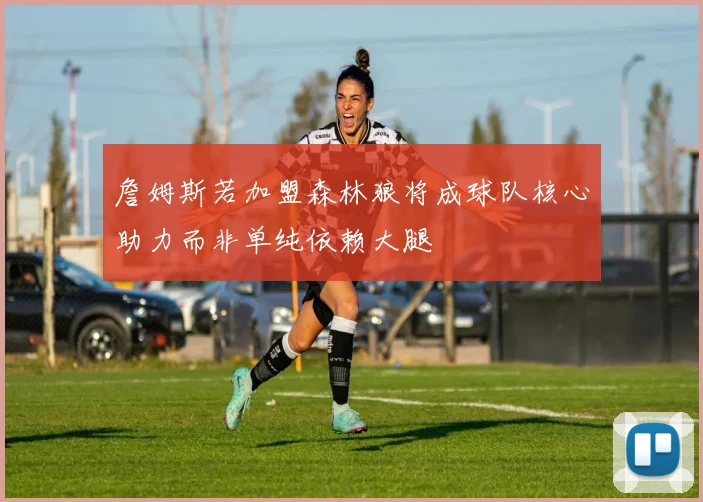 詹姆斯若加盟森林狼将成球队核心助力而非单纯依赖大腿
