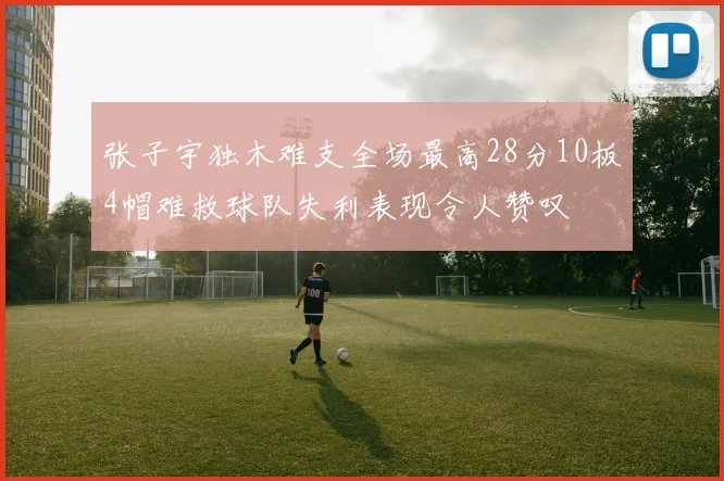 张子宇独木难支全场最高28分10板4帽难救球队失利表现令人赞叹