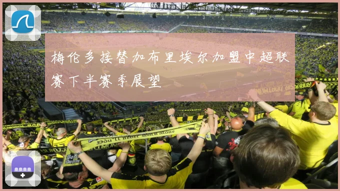 梅伦多接替加布里埃尔加盟中超联赛下半赛季展望