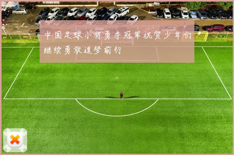 中国足球小将勇夺冠军祝贺少年们继续勇敢追梦前行